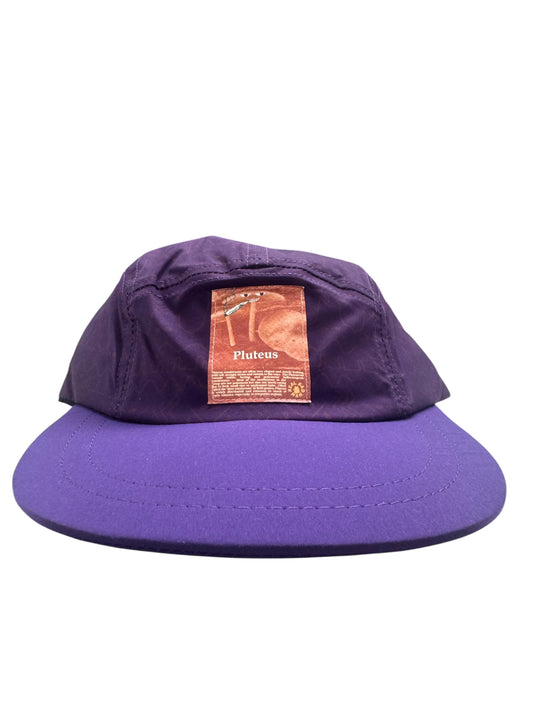 RBM pluteus Purple hat
